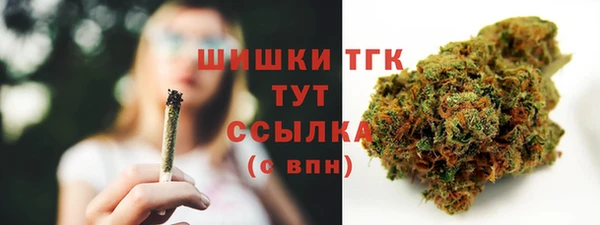 сатива Балабаново